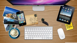 Computer keyboard phone notepad raccoon - mouse free wallpaper