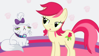 Pink pony white cat circle - a pink pony free wallpaper