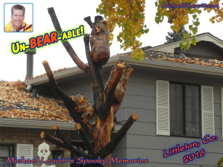 Cut down tree bear sign - arlington nelson lindenmuth free wallpaper