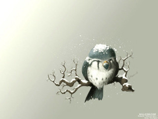 Bird glasses branch snow snowflakes 2 - gray background free wallpaper for desktop