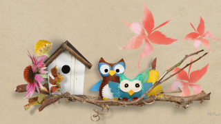 Birdhouse owls branch flowers leaves - a branch free wallpaper