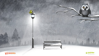 Bird tree branch snow bench - brian snøddy free wallpaper