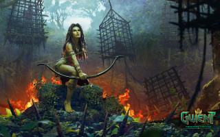 Woman forest fire ladder bow - a bow and arrow in a forest free wallpaper