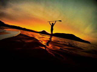 Person surfboard water sunset paddle - david boyd free wallpaper