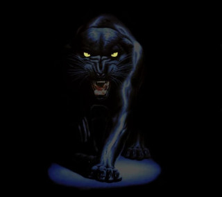 Black cat glowing eyes blue - free cats wallpaper for tablet