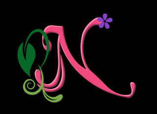 Pink green letter m flower - side and a butterfly free wallpaper