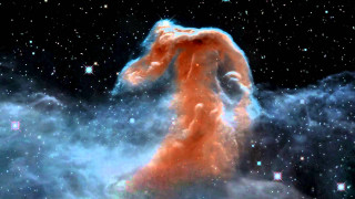 Horse head stars cloud black - nebula free wallpaper for desktop