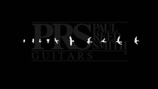 Paul reed smith guitar birds - david imms free wallpaper for desktop