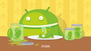 Cartoon character eating meal pickles - android free wallpaper for desktop