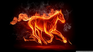 Horse running fire field flames - a black background behind free wallpaper