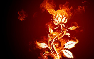 Red yellow flower flames black - a red background free wallpaper