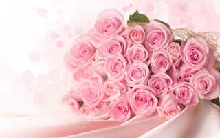 Bouquet pink roses white cloth - a white cloth free wallpaper