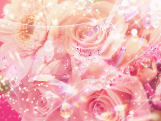 Pink roses sparkling stars bubbles - a bouquet free wallpaper