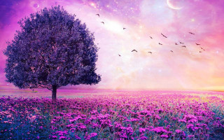 Tree field flowers purple sky - chris labrooy free wallpaper for desktop