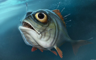 Big mouth toothy smile fish - toothy free wallpaper