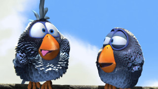 Two birds big eyes sitting - charles bird king free wallpaper