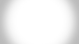 Cat dog bench black white 2 - generative free wallpaper for desktop