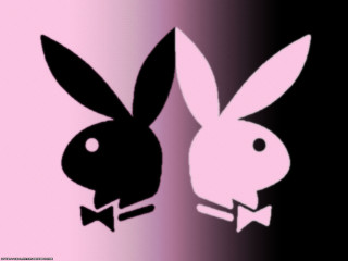 Rabbit bowtie popart gradient background - a bow tie free wallpaper