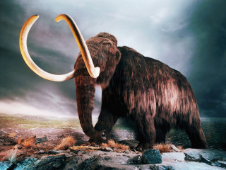 Woolly mammoth rocky area cloudy - a rocky area free wallpaper for desktop