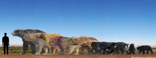 Elephants dinosaur kaijuu mountain desert - epic scale free wallpaper
