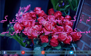 Bouquet red roses quote foreign - a foreign language free wallpaper