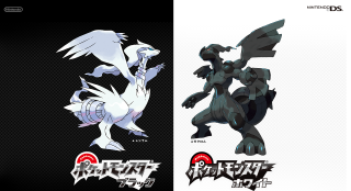 Pokemon character black white red - ada gladys killins free wallpaper