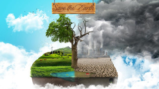 Tree save the earth sign - the earth free wallpaper