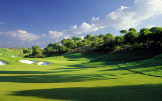 Green golf course hole trees - a hole in the middle of it free wallpaper