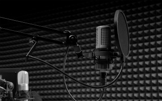 Microphone stand studio bw portrait - bela čikoš sesija free wallpaper