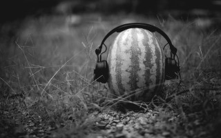 Watermelon headphones grass black white - a watermelon free wallpaper