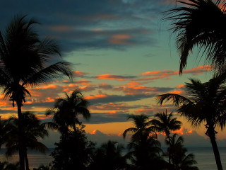 Sunset palm trees ocean clouds 2 - a sunset free wallpaper for desktop
