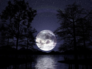 Full moon lake woods night - full moon free wallpaper