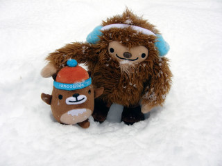 Stuffed animal stuffed animal snow - the snow together free wallpaper