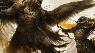 Man large bird giant bird - a giant bird free wallpaper