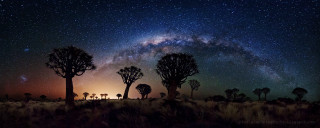 Night sky stars milky way - star and trees free wallpaper
