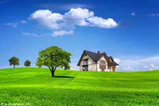 House hill tree green field - a green field in the background free wallpaper