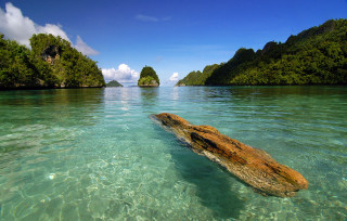 Log water beach islands blue - amazing free wallpaper
