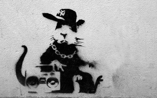 Cat dog wall boombox camera - punk art free wallpaper
