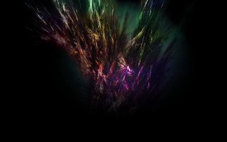 Black background purple green flowers - particle free wallpaper