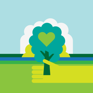 Hand holding tree heart trunk - a tree free wallpaper for tablet