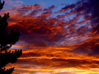 Sunset red sky clouds tree - a bench in the foreground free wallpaper for desktop