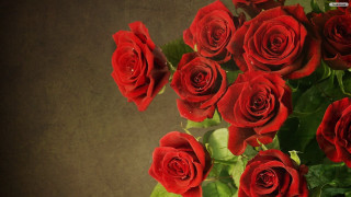 Red roses vase table brown - red rose free wallpaper