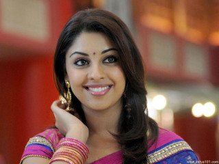 Woman pink sari smiling camera - a pink sari free wallpaper