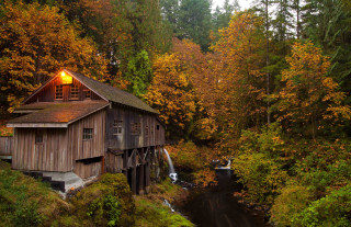 Wooden building waterfall yellow leaves - a waterfall in the background and trees free wallpaper