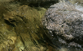 Rock water bird perched back - andy goldsworthy free wallpaper