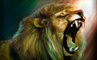 Lion mouth open teeth wide 2 - tooth wide free wallpaper