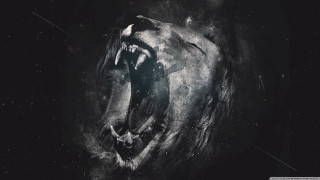 Tiger black white photo mouth - tooth wide free wallpaper