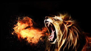 Lion roaring fire mouth wide - mouth wide open free wallpaper
