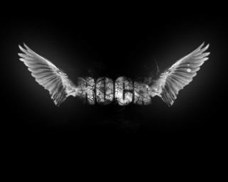 Black white bird wings boo - photo of a bird free wallpaper for desktop