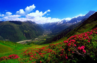 Valley flowers mountains clouds sky - the foreground and mountains free wallpaper